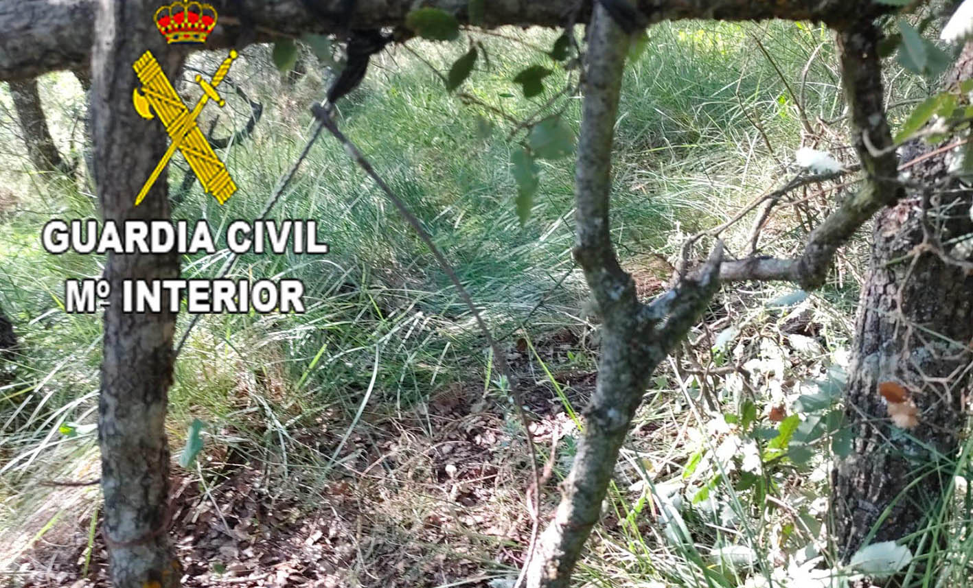 En la imagen, el cable de acero que había colocado el hombre denunciado. Su intención era cazar… pero fue cazado él por el Seprona de la Guardia Civil.