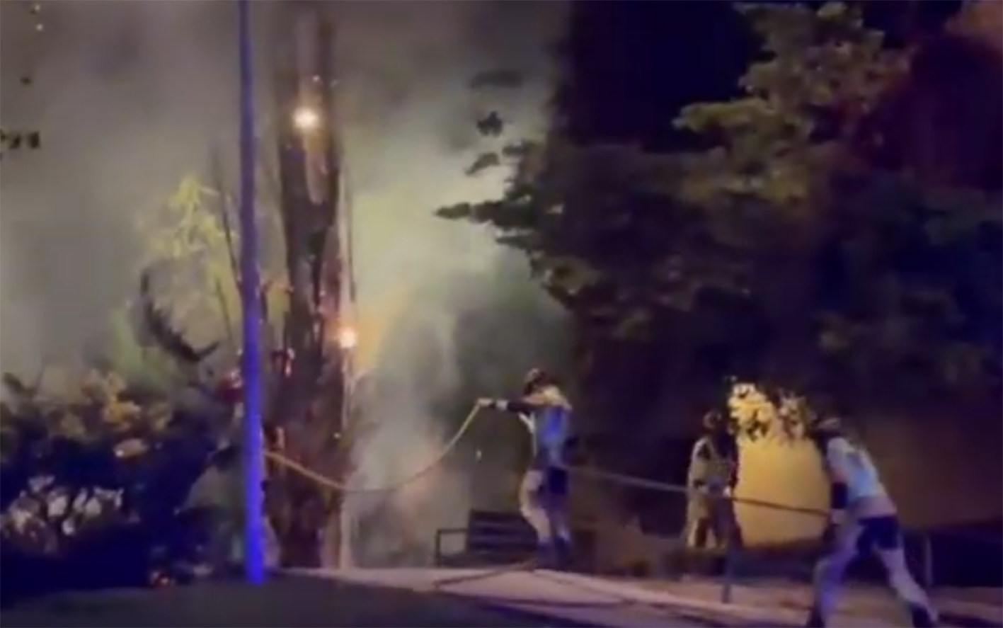 Momento en el que los Bomberos apagaban el fuego originado por el incendio de dos pinos en el Polígono de Toledo.