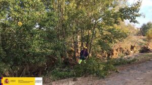 En la foto, una actuación de la CHT en la Reserva Natural Fluvial del río Jaramilla