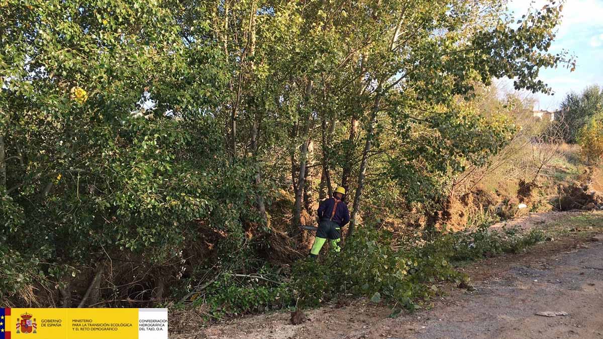 En la foto, una actuación de la CHT en la Reserva Natural Fluvial del río Jaramilla