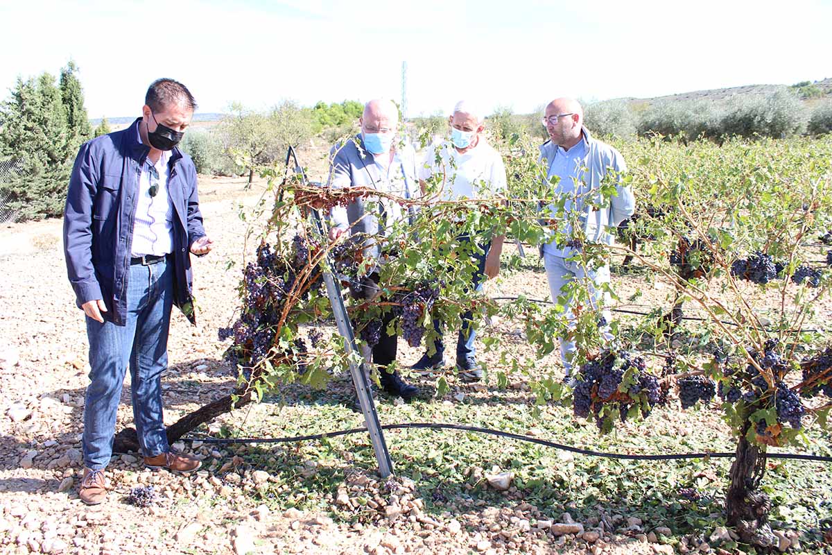 Pedro Antonio Ruiz Santos y Santiago Cabañero comprobaron in situ los destrozos en Fuente-Álamo