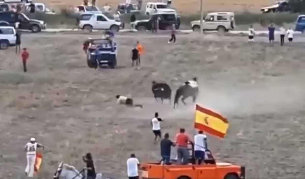 Un momento del encierro en el campo en Loranca de Tajuña