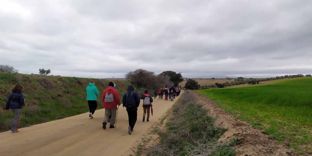 Paseos naturales Diputación de Toledo