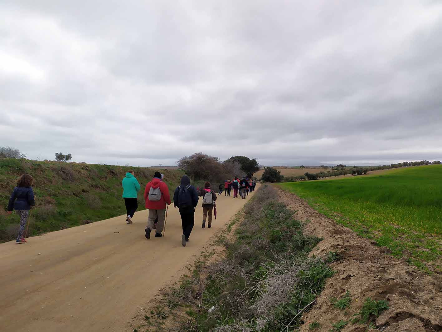 Paseos naturales Diputación de Toledo