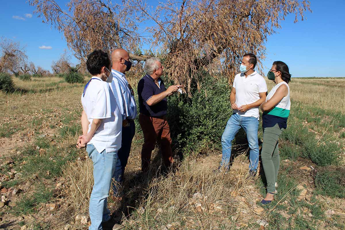 Carlos Velazquez visitó una de las zonas del campo toledano afectadas por la DANA