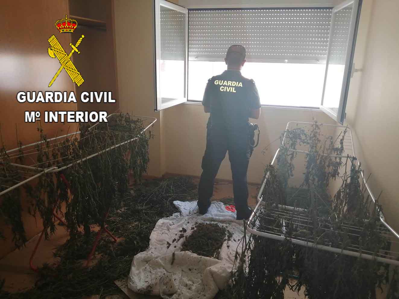 Imagen de una sala donde se secaba la marihuana en la provincia de Guadalajara.