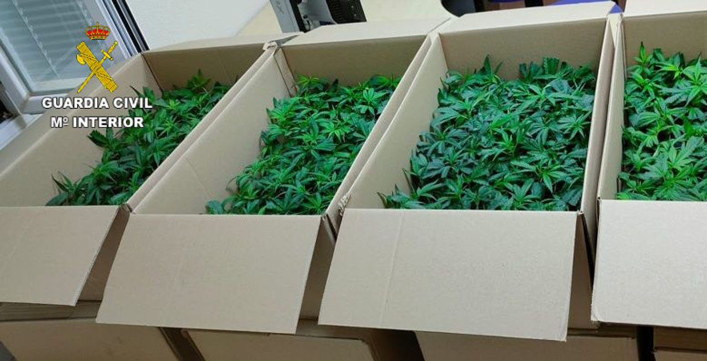 Estas son las cajas llenas de marihuana que llevaban en el vehículo.