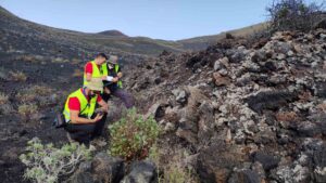Investigadores de la UCLM tomando muestras en Ciudad Real.
