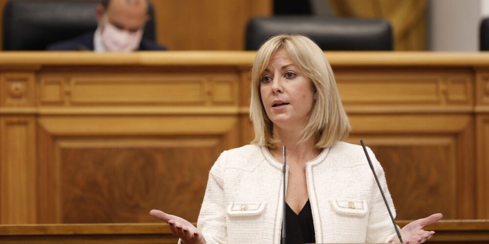 Ana Isabel Abengózar, portavoz del PSOE en las Cortes.