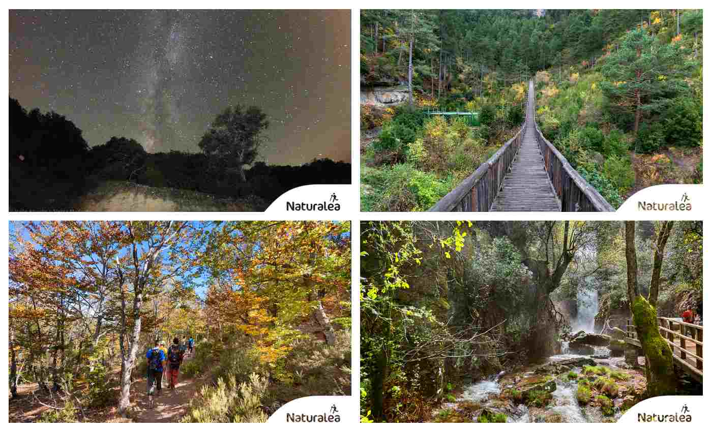 De izquierda a derecha y de arriba a abajo, el cielo estrellado del Valle de Alcudia (Ciudad Real), el Hosquillo (Serranía de Cuenca), el Hayedo de Tejera Negra y las ruta del Chorro de las Becerras (Toledo).