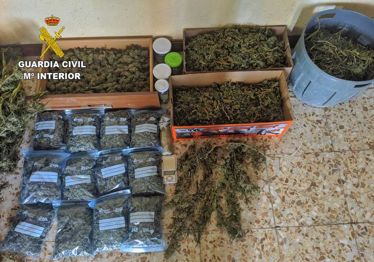 Marihuana incautada en Illescas (Toledo)