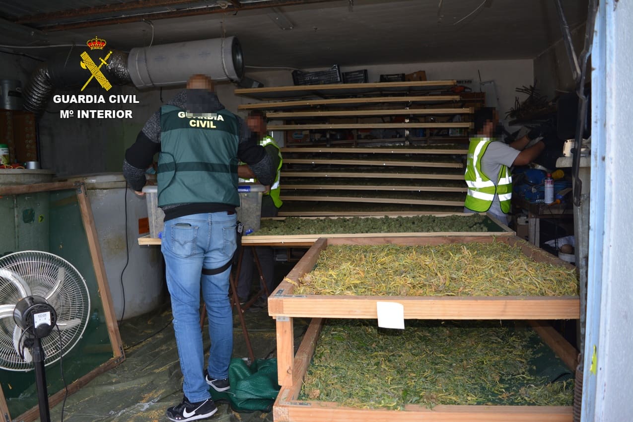 Secadero de marihuana que había en La Torre de Esteban Hambrán.