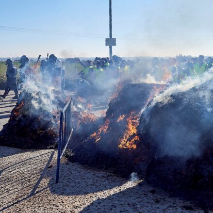 Enfrentamientos entre Policía y ganaderos en Talavera. Foto: EFE / Manu Reino.