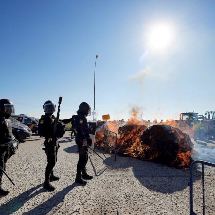 Enfrentamientos entre Policía y ganaderos en Talavera. Foto: EFE / Manu Reino.