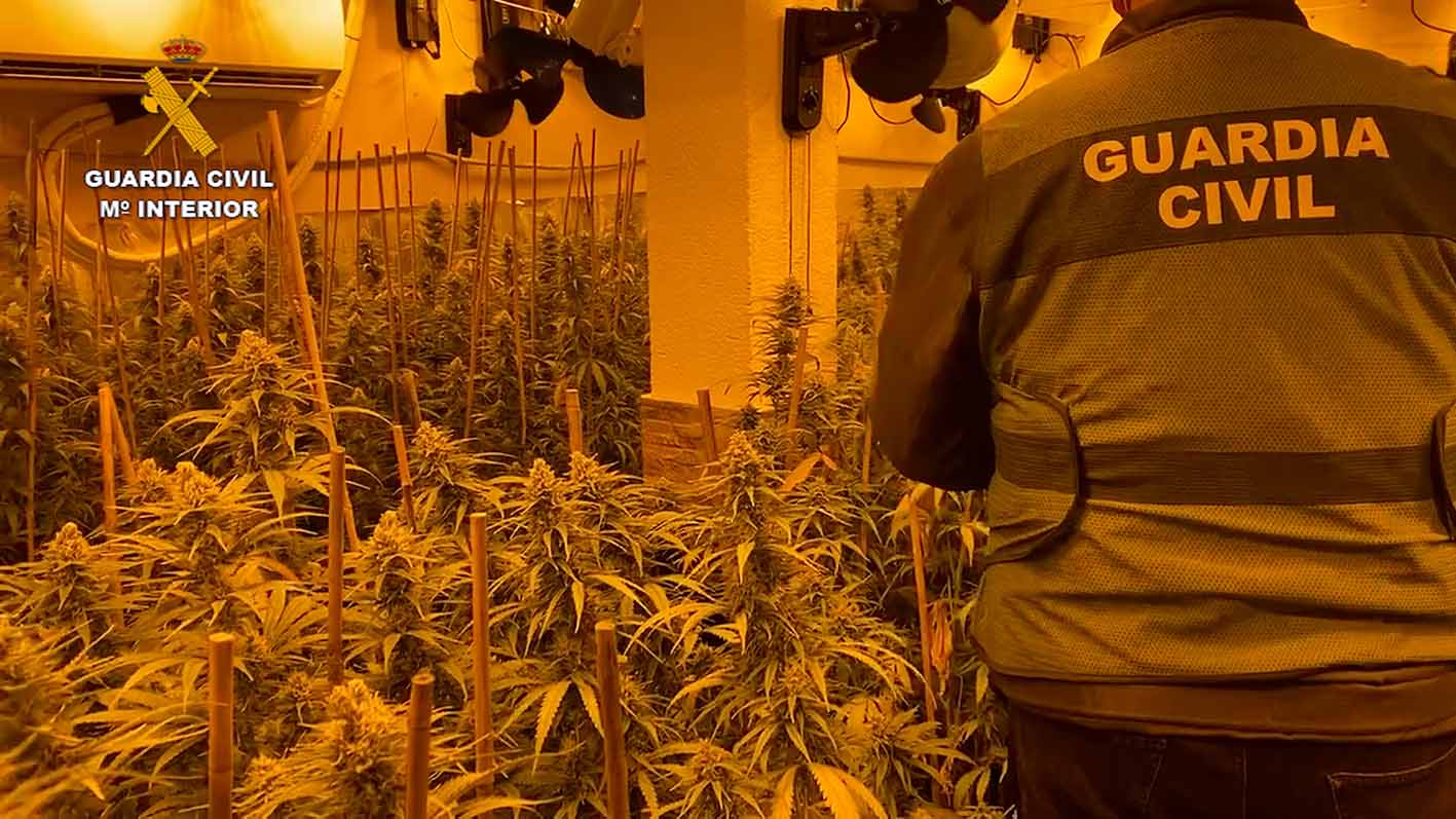 Una de las plantaciones desmanteladas de marihuana en un chalé de Bargas.