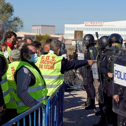 Enfrentamientos entre Policía y ganaderos en Talavera. Foto: EFE / Manu Reino.