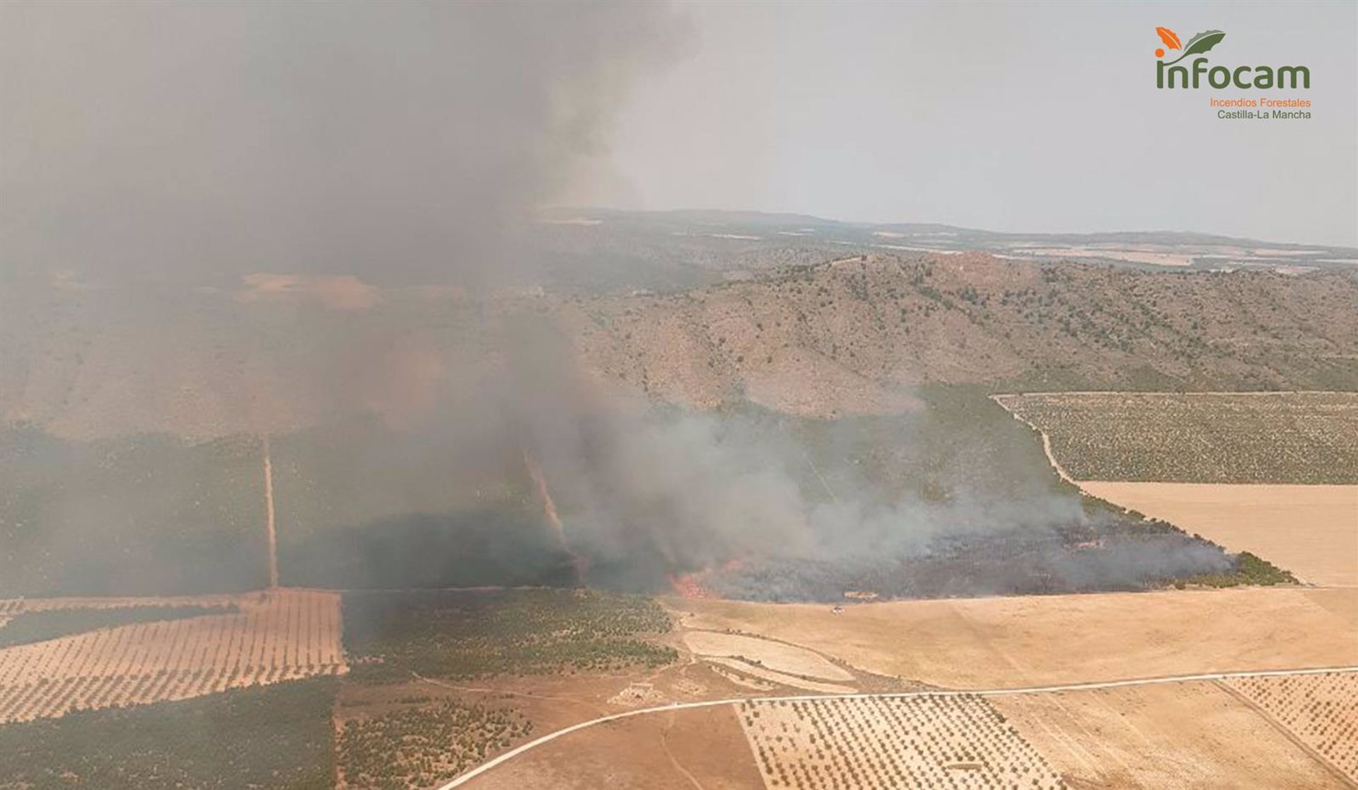 Incendio en Tobarra (Albacete) este verano.