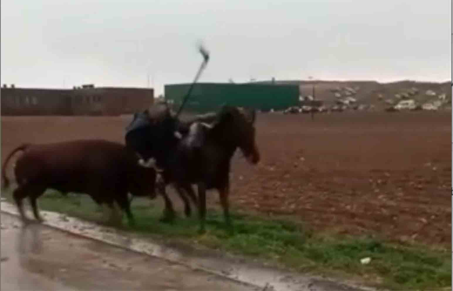 Cornada a un toro en un encierro en Torija (Guadalajara).