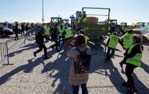 Enfrentamientos entre Policía y ganaderos en Talavera. Foto: EFE / Manu Reino.