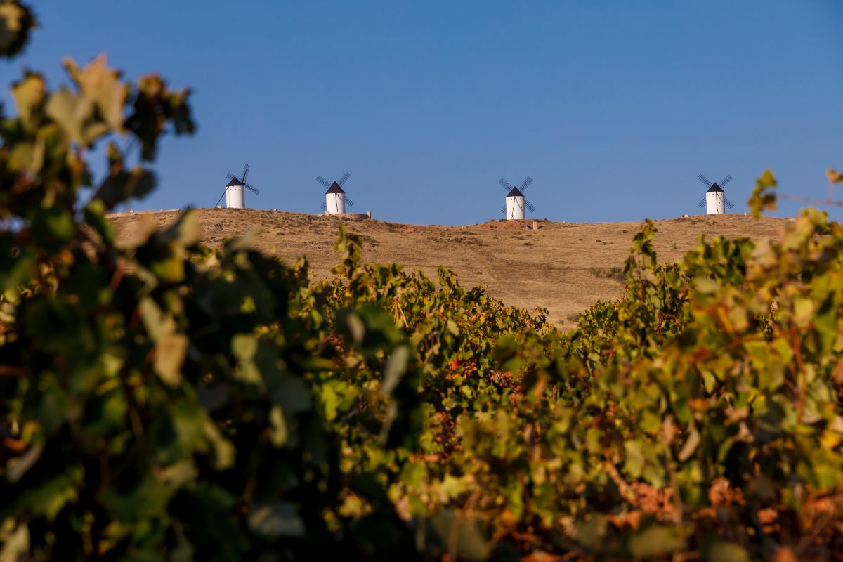 Castilla-La Mancha, ADN vinícola.