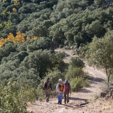 Ruta del Chorro. Turismo Castilla-La Mancha / David Blázquez.