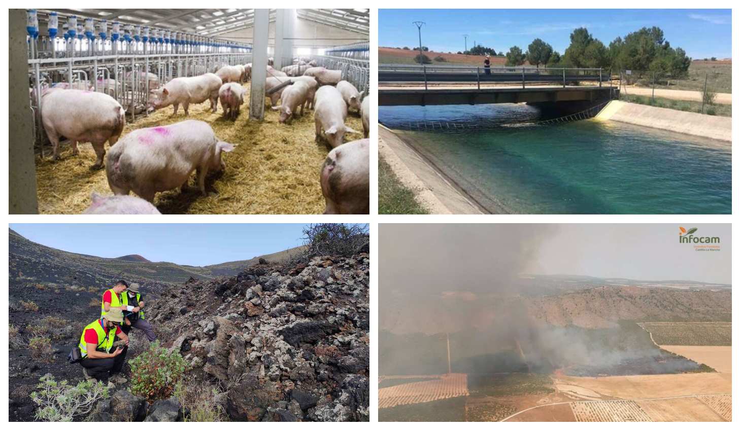 Macrogranja; trasvase Tajo-Segura, científicos de la UCLM en La Palma y el incendio de Tobarra (Albacete).