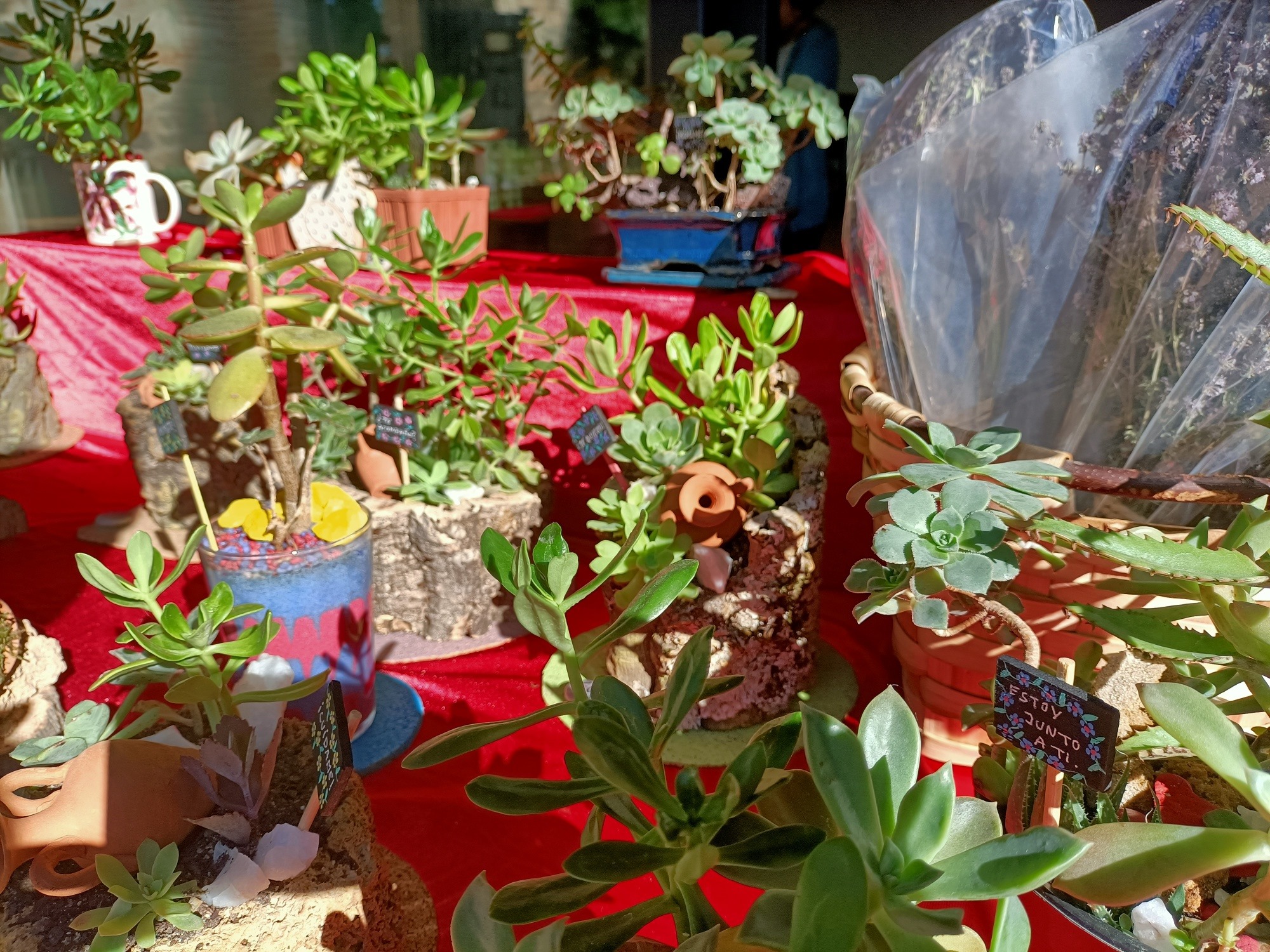 mercado-de-las-flores-toledo