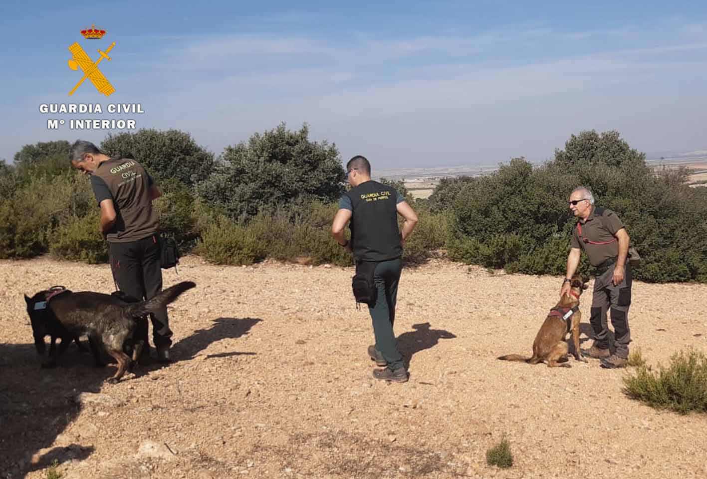 Operación del Seprona para proteger a la flora y la fauna.