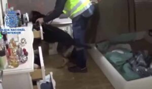Un detalle de la operación policial por la que se desarticuló el grupo que lideraba el "Pablo Escobar español de la heroína".