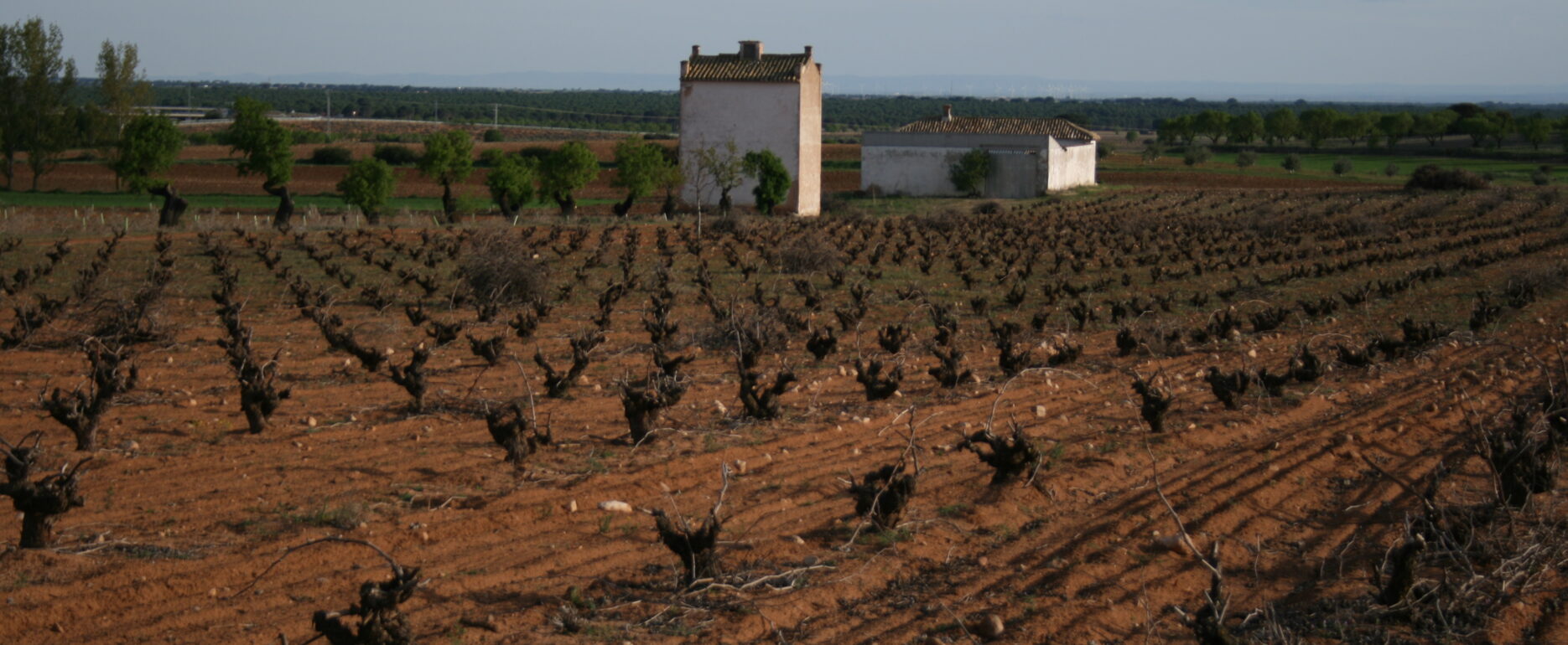 viña-manchuela-conquense