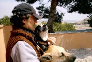 Fallece el pintor y escultor Fernando Castillo.
