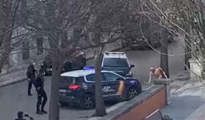Momento en el que el hombre armado golpea uno de los vehículos policiales.