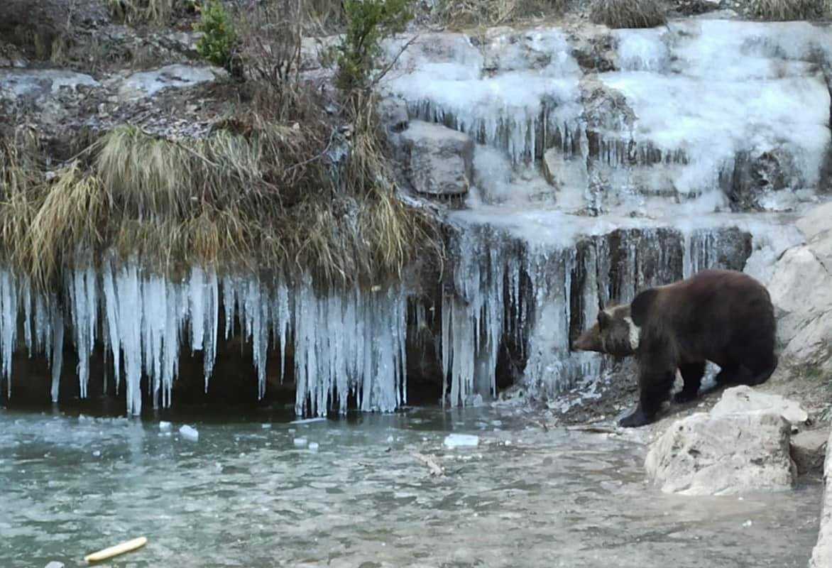 Parque Cinegético El Hosquillo, en la Serranía de Cuenca. Foto: Miguel Ángel Verona San Juan.