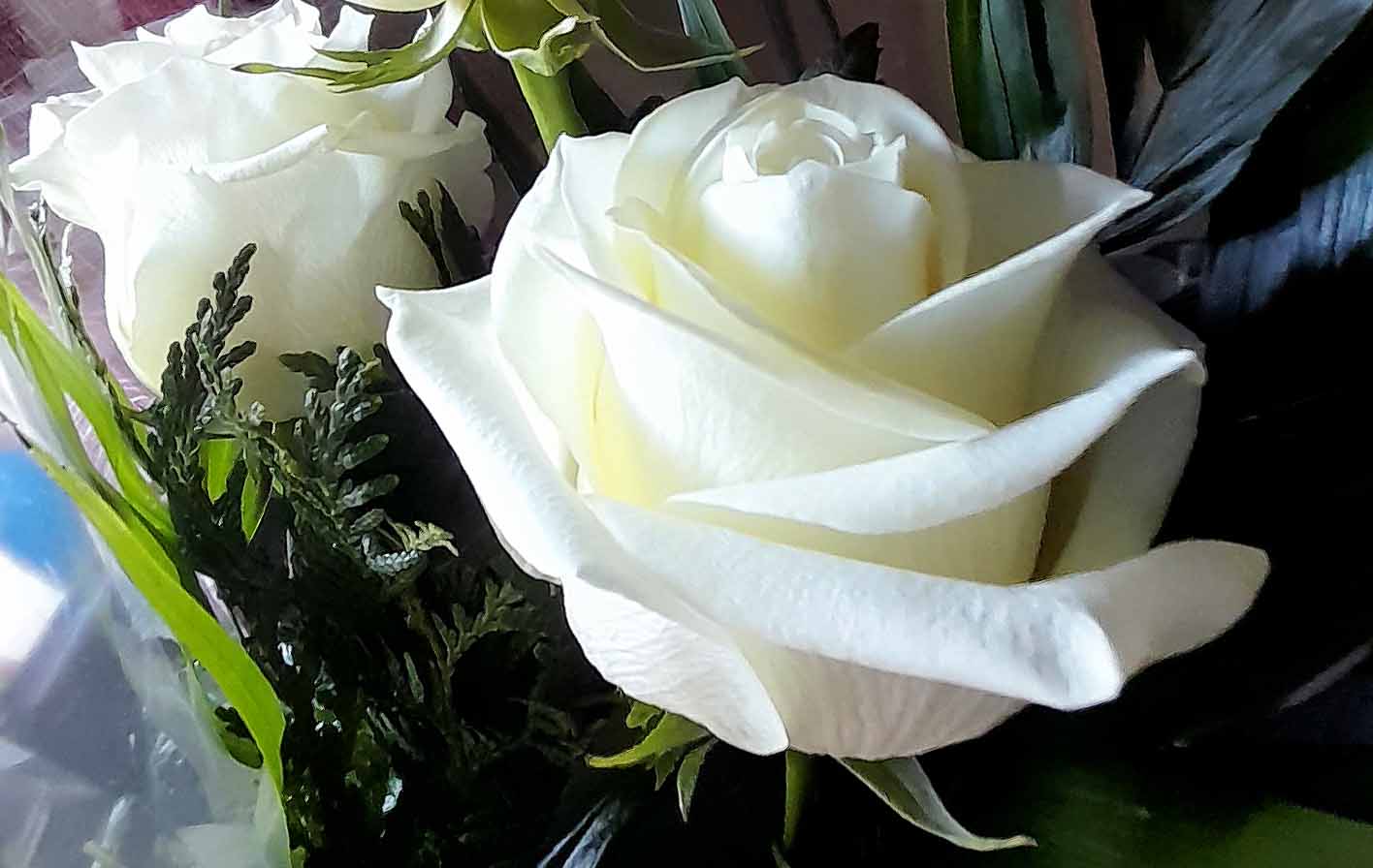 Vuelve el Mercado de las Flores a Toledo