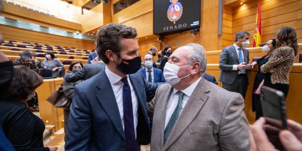 El presidente del PP, Pablo Casado, y el diputado Vicente Tirado.