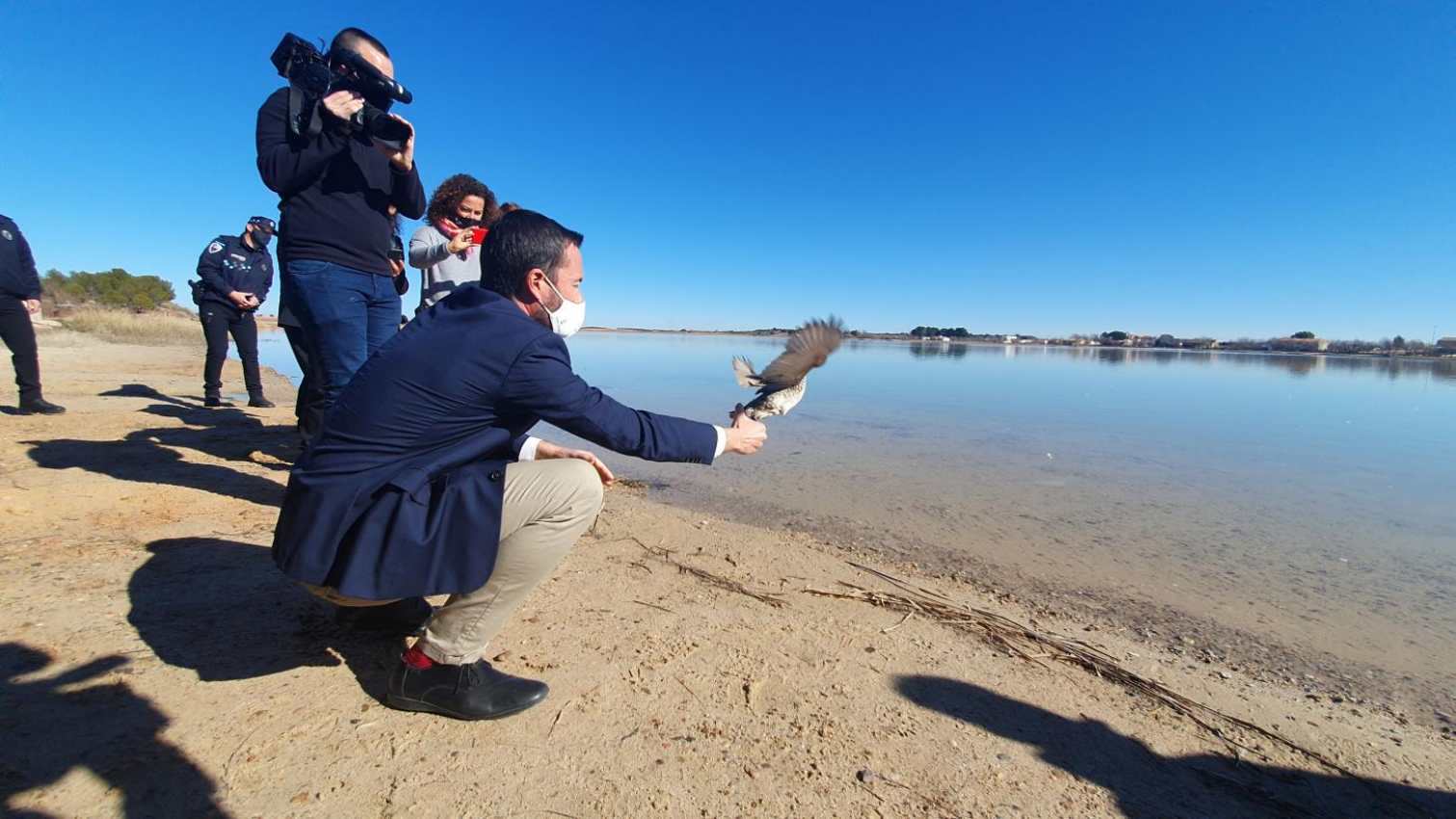 Suelta de cercetas pardillas en Villafranca de los Caballeros