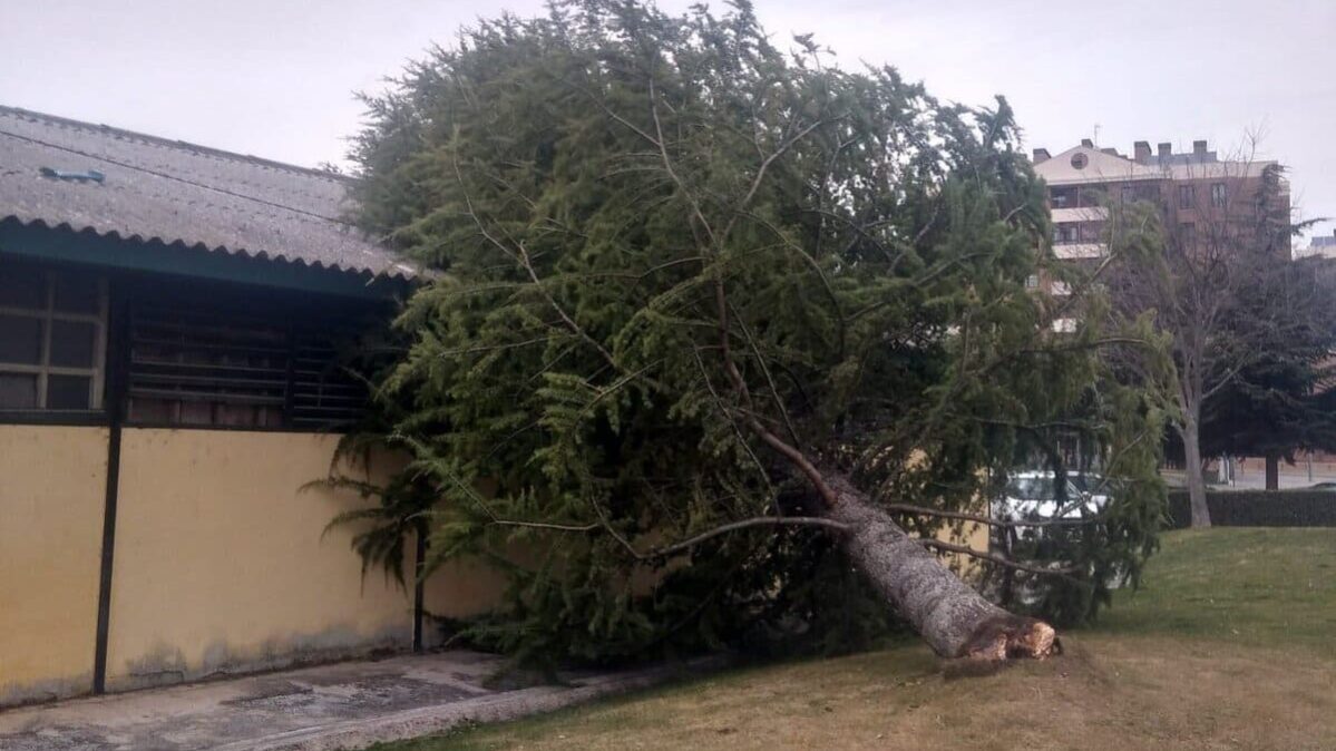 Árbol caído encima de la nave del Parque de Bomberos.