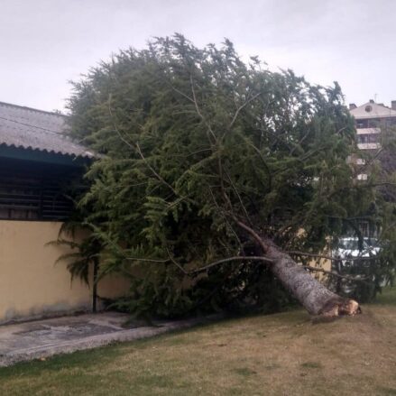 Árbol caído encima de la nave del Parque de Bomberos.