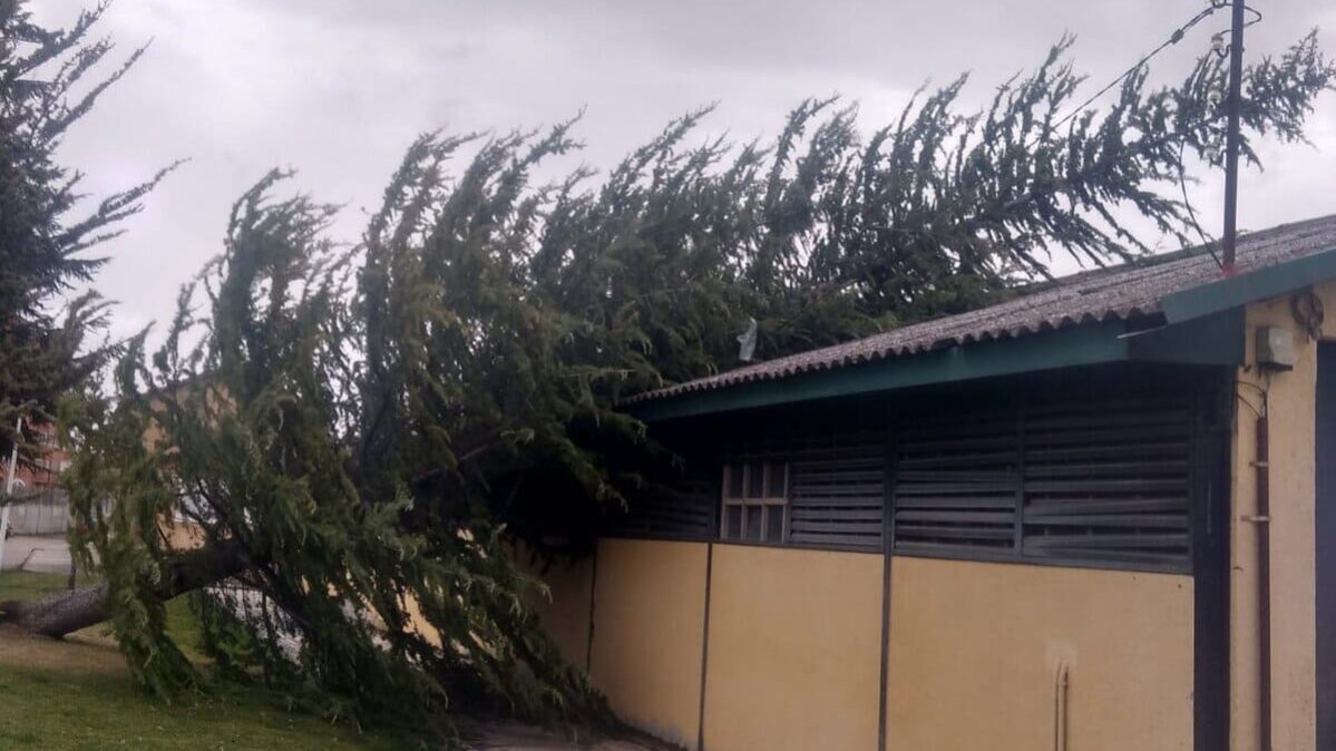 Árbol caído encima de la nave del Parque de Bomberos.