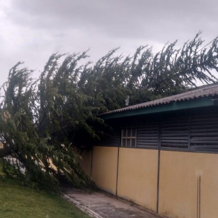 Árbol caído encima de la nave del Parque de Bomberos.