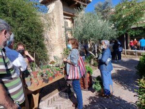 El jardín de San Lucas, lugar emblemático donde se celebra el Mercado de las Flores.