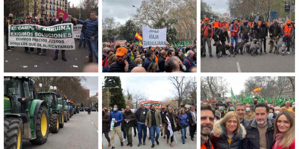 Muchos castellanomanchegos se han dado cita en Madrid para reclamar un mundo rural "justo y vivo".