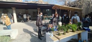 Jardín de la iglesia de San Lucas, en Toledo, donde se va a celebrar el Mercado de las Flores.
