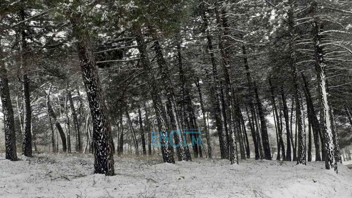Imagen de archivo de nieve en San Pablo de los Montes (Toledo).