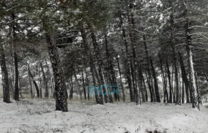 Imagen de archivo de nieve en San Pablo de los Montes (Toledo).