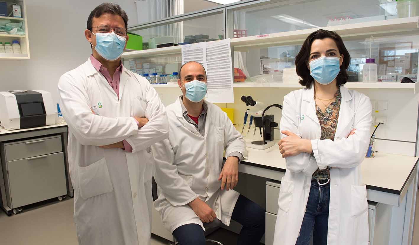 Investigadores de Parapléjicos experimentos porcino