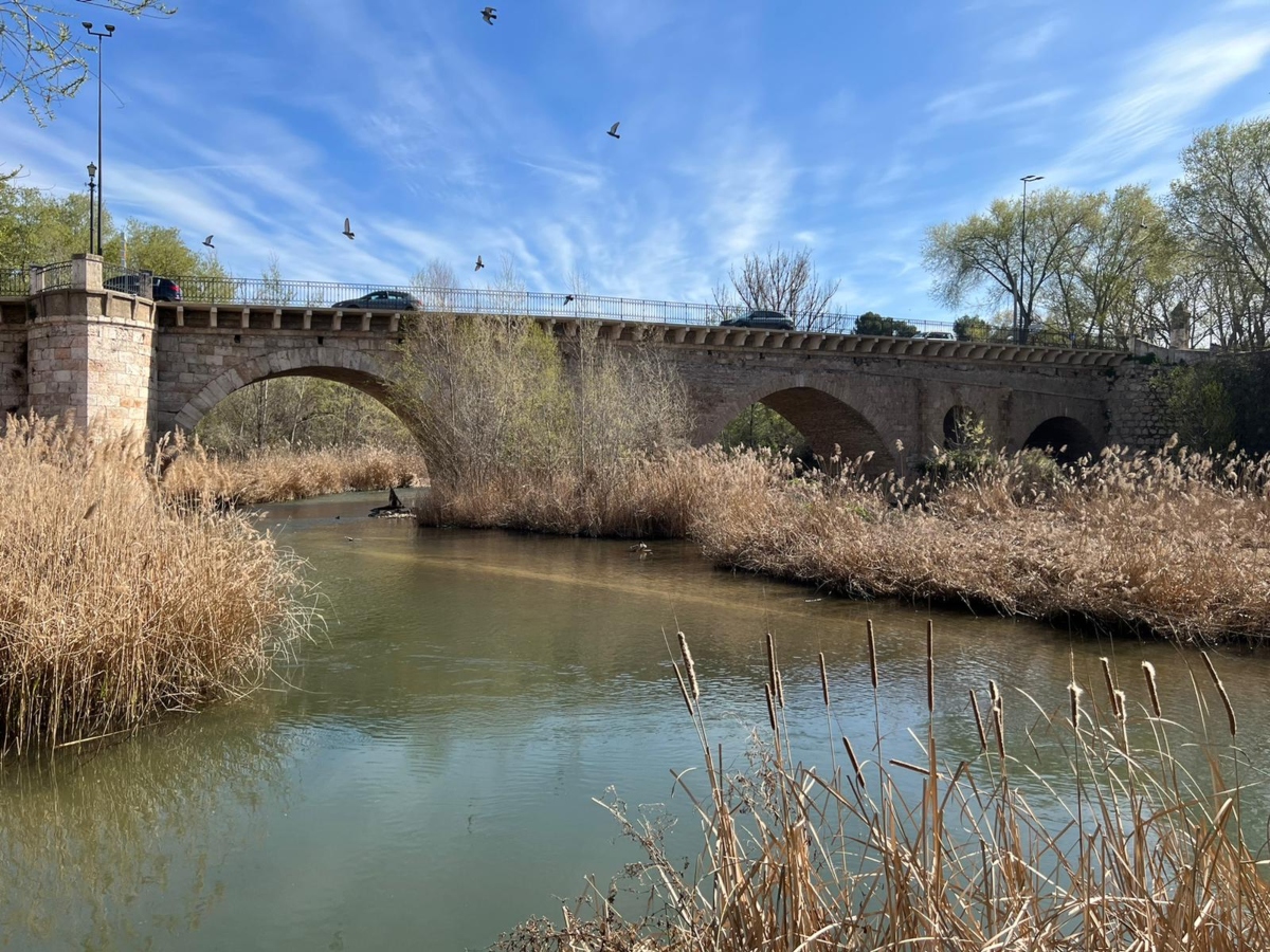 Puente árabe Guadalajara