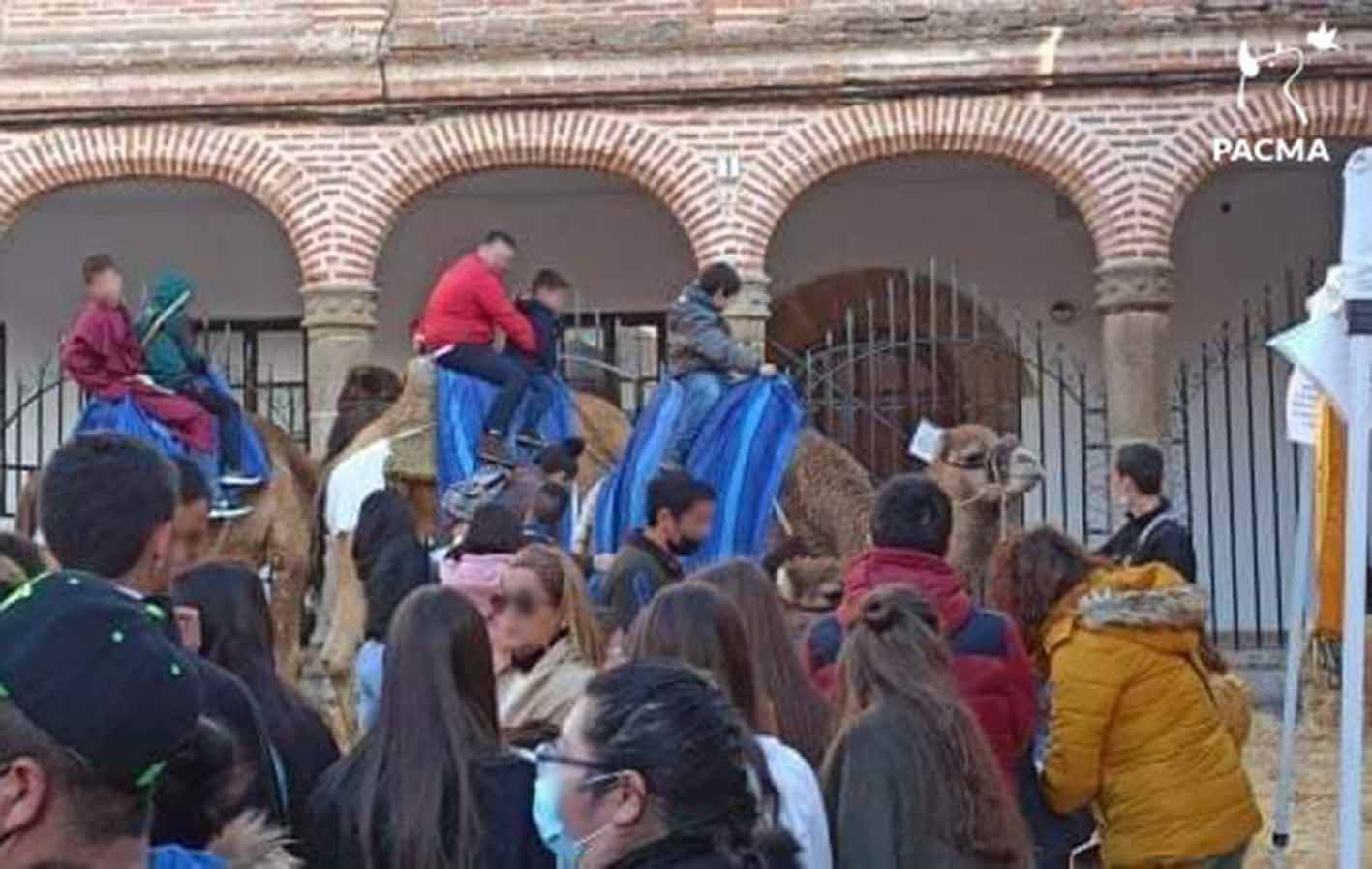 Foto de Pacma en la que se ve a personas montando de dos en dos sobre los camellos.