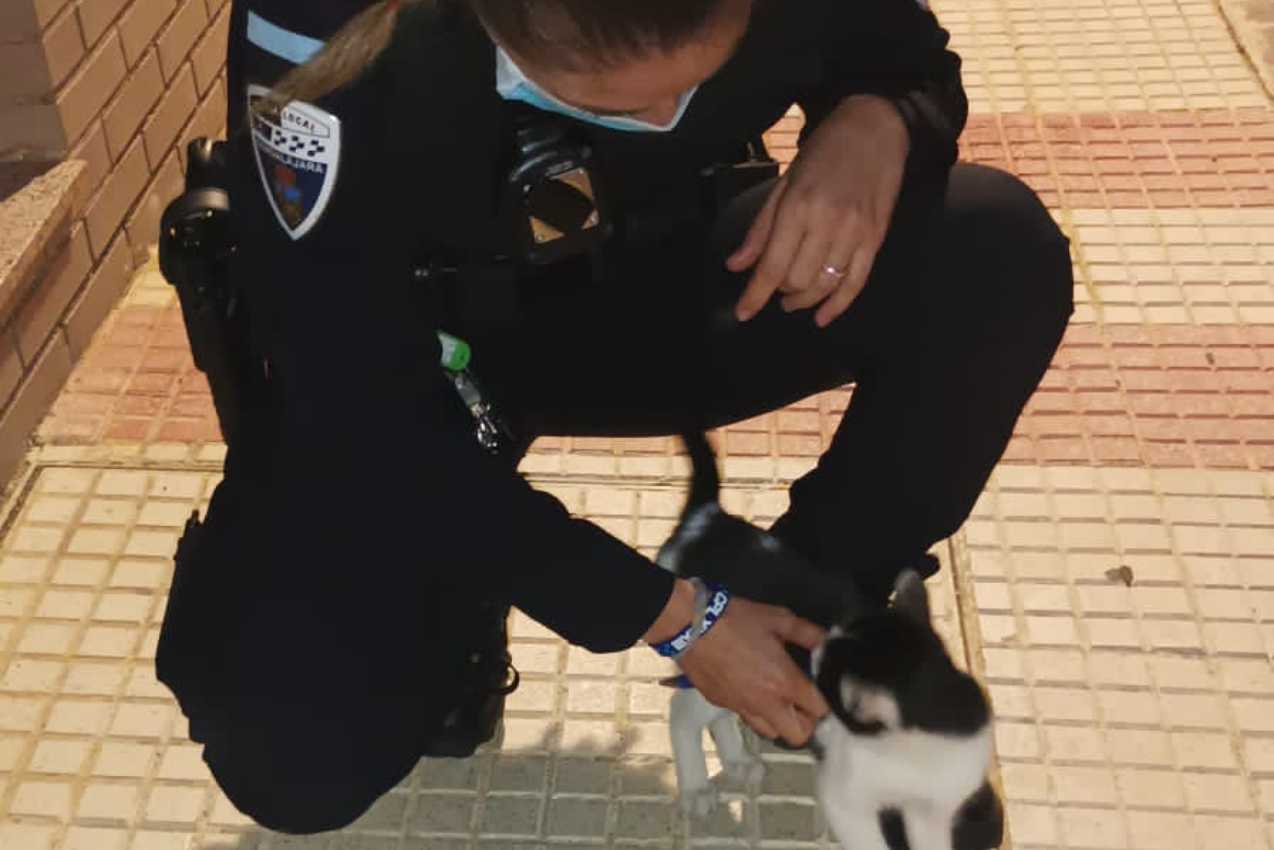 Una policía local de Guadalajara junto con uno de los gatos rescatados.