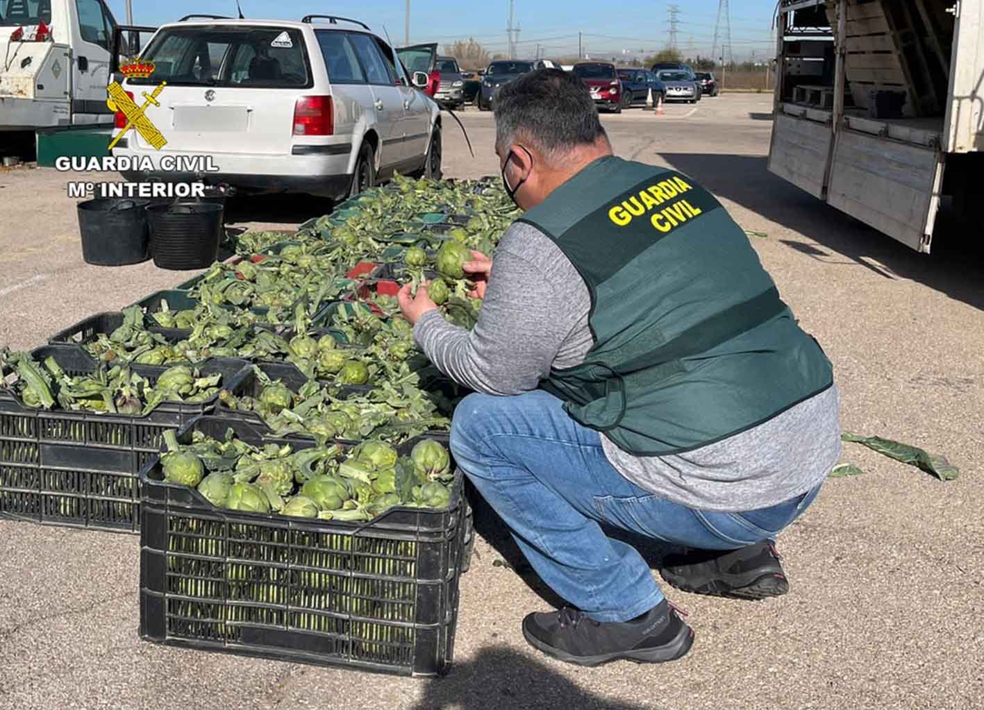 Robaban productos del campo y los vendían en mercados ambulantes.